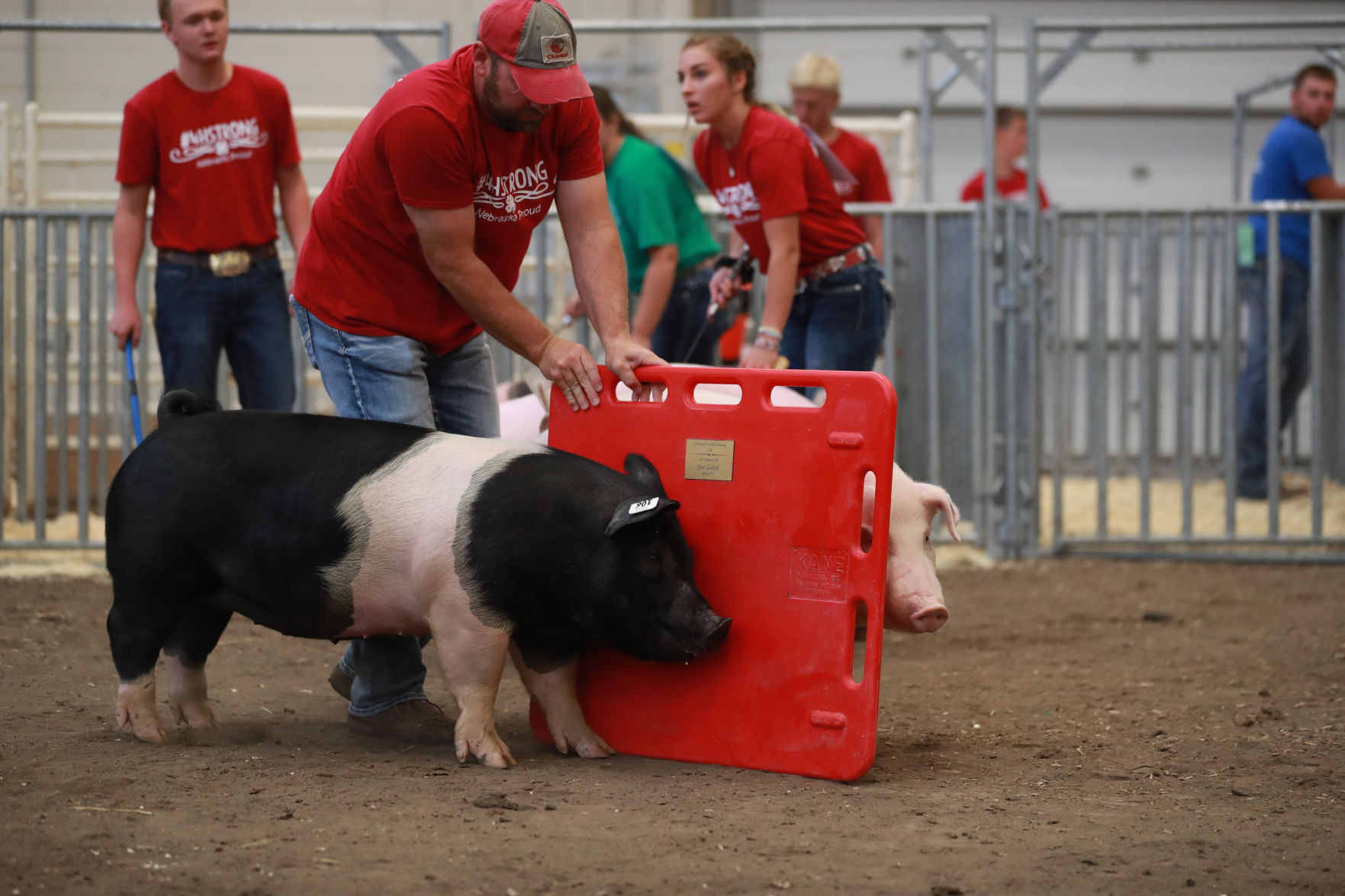071119_HallCoFair30_bjs.JPG